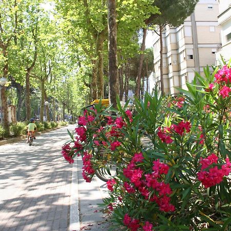 Romea Family Camping Casal Borsetti Dış mekan fotoğraf