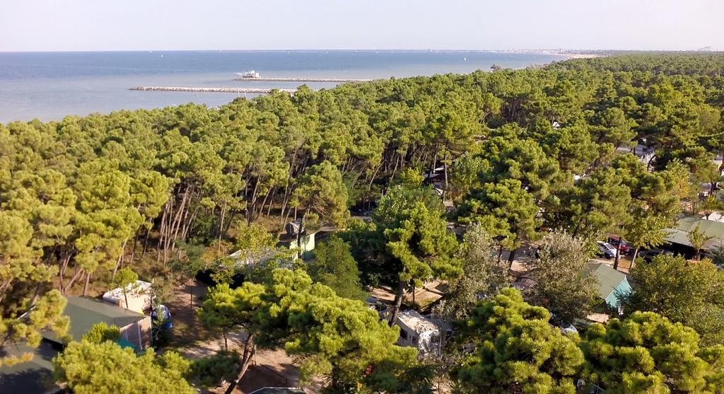 Romea Family Camping Casal Borsetti Dış mekan fotoğraf